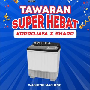 Washing Machine Dec Promo